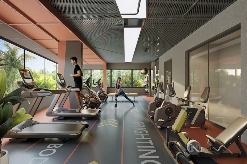 Gymnasium